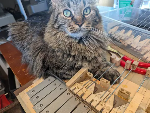 Mechanical music project with a cat laying on it